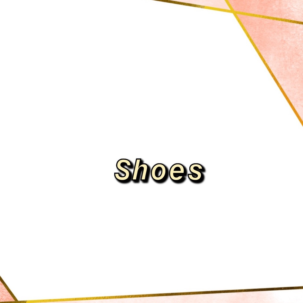 Shoe section
